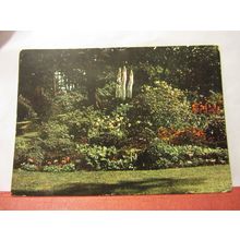 ROYAL BOTANIC GARDENS, EDINBURGH, SCOTLAND used postcard 1955 pm /