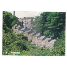 STIPPY STAPPY, ST. AGNES, CORNWALL unused postcard by J. Salmon #