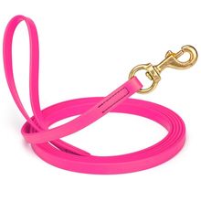 Dog Pet Leash Passionfruit Pink w/ Brass Hardware W 5/8" - L33'