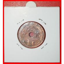 Ⰶ RICE 1936-1945: NETHERLANDS EAST INDIES★ 1 CENT 1936! I+A★LOW START★NO RESERVE