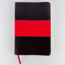 NIV Rainbow Study Bible Cocoa/Ochre LeatherTouch Book