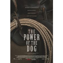 The Power of the Dog 4 Poster Canvas Movie Film Print A0 A1 A2 A3 A4 A5 A6 Art W