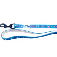 Cutie Ties Fun Design Dog Leash Small 4th of July