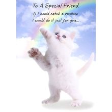 To A Special Friend - Friendship Greeting Card - 00741