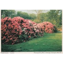 Walled Garden Cuerden Lancashire Postcard