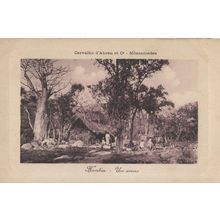 Angola Mossamedes Antique Um Arimo Portugal Old Postcard