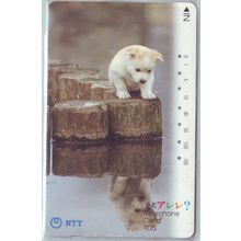 Puppy Looking At Own Reflection Japan NTT Phone Card