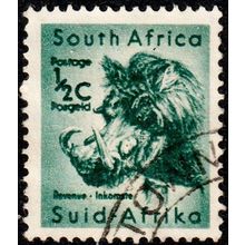 South Africa Suid Afrika 1961 Animal 1/2c Used Stamp Warthog