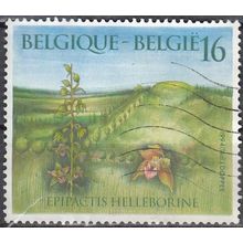 Belgique 1994 Michel 2627 O Cote (2008) 1.25 € Orchidée Epipactis Helléborine