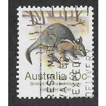 AUS 1981 30c 'WILDLIFE- WALLABY' FINE USED (EBID60-027)