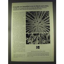 1977 Kodak Ektachrome Films Ad - Crinoids Beautiful