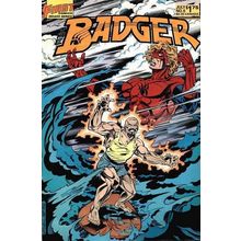 Badger (Vol 2) (First) # 006 NM MODERN AGE COMICS