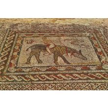 Antique Rome Roman Mosaic Snake In Morocco Postcard