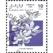 WESTERN SAHARA, FLOWER, Crassula argentia, violet 1992, 10ptas