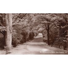 Bournemouth Road New Forest Antique Mint Real Photo Postcard