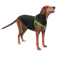 Casual Canine Two-Step Harness 9-15 x 3/8 in Flamingo Pink
