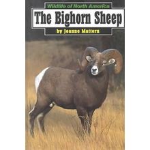 The Bighorn Sheep (Wildlife of North America) Mattern, Joanne