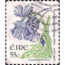 EIRE, FLOWERS, Large Flowered Butterwort (smaller), white 2007, 55c