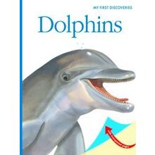 My First Discoveries Dolphins