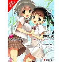 Accel World, Vol. 20 (Light Novel)