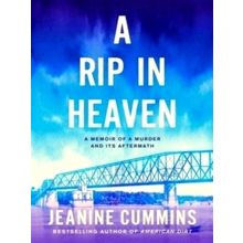 A Rip in Heaven - Jeanine Cummins