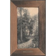 Autumn, Meadville, Pennsylvania, 1907 - Rotograph Co Postcard