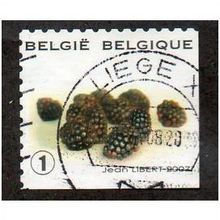 BEL 2007 (52c)(S/A) 'FRUIT- BLACKBERRIES' FINE USED (EBID10438)