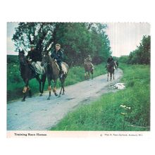 TRAINING RACE-HORSES, AVEBURY W.I. postcard unposted WILTSHIRE W.I. =