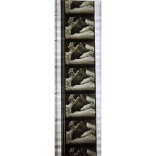 NOTORIOUS. Pk MTP - A025y. 1 STRIP OF 5 - 35MM FILMCELLS