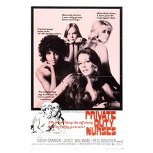 Private Duty Nurses 01 Poster Canvas Movie Film Print A0 A1 A2 A3 A4 A5 A6 Art W