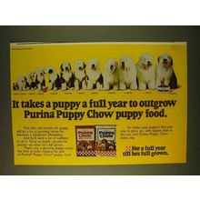 1979 Purina Puppy Chow Ad - Full Year To Outgrow