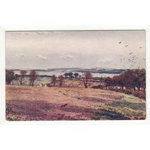 Hest Bank Looking over Morecambe Bay Art Postcard Lancashire