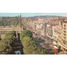 Marks & Spencers Princes Street Edinburgh Zoo 1970s Scottish Postcard