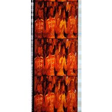 Bee Gee's. Pk MTP -BGs - A020t . 1 STRIP OF 5 - 35MM FILM CELLS.