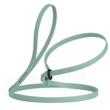Dog Pet Waterproof Slip Lead - W1/2" x L7' - Sage Green