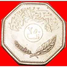 CANADA: IRAQ ★ 250 FILS 1401-1981! LOW START ★ NO RESERVE!
