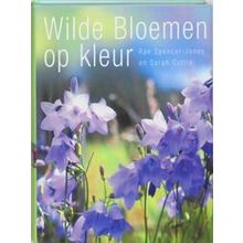 Wilde Bloemen Op Kleur
