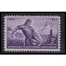 1060 3c Nebraska Fine MNH MA0154