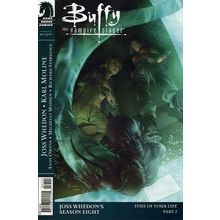Buffy the Vampire Slayer: Season 8 # 017 NM (CvrA) MODERN AGE COMICS