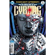 Cyborg (Vol 2) # 017 NM (CvrA) MODERN AGE COMICS