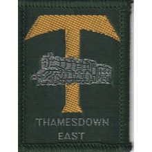 Scout Badge UK- Thamesdown East - Shiny Gold - Hessian Back (BY178)