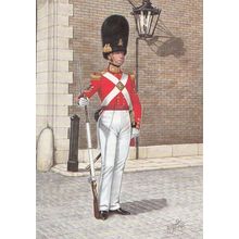 Fusilier Scots Scottish Guard London 1832 Military Uniform Postcard