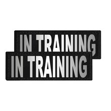 Removable Patches (2 Per Pack) - 1.5 x 4" IN TRAINING