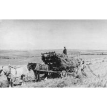 Worthing Downs Farmer Transport Farming Cereal Crop Sussex Postcard