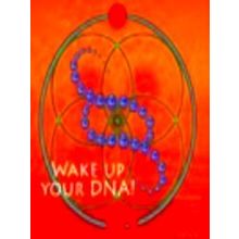 Wake up your Dna!