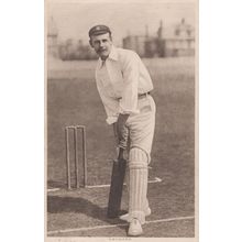 Tom Hayward Surrey Cricket Antique 1906 Postcard