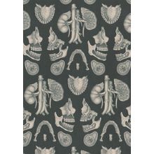 Kaleidoscope Of Teeth Mouth Dentist Body Parts Postcard