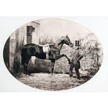 John Solomon Rarey Victorian Horse Rights Cruiser Real Photo Postcard