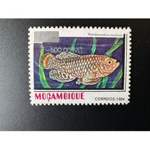 Mozambique 1997 / 2000 Mi. 1552 Fish Poisson notobranchius rachovii surchargé