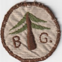 Scout Badge? - Country Unknown - BG/Tree - Hessian Back (BY289)